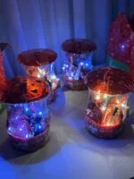 پک ولنتاین چراغ دار - کد 2159